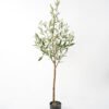 Artificial Tree 60*60*150CM Olive Tree Real tree trunks GS-63321032 Tree&Plant YeahFlower is one of Chinese leading OEM manufacturers and exporters , supplying the silk flowers, wholesale artificial trees