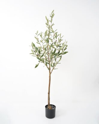 Artificial Tree 60*60*150CM Olive Tree Real tree trunks GS-63321032 Tree&Plant YeahFlower is one of Chinese leading OEM manufacturers and exporters , supplying the silk flowers, wholesale artificial trees Artificial Tree 60*60*150CM Olive Tree Real tree trunks GS-63321032 Tree&Plant YeahFlower is one of Chinese leading OEM manufacturers and exporters , supplying the silk flowers, wholesale artificial trees