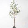 Artificial Tree 56*47*140CM Olive Tree Real tree trunks GS-63321034 Tree&Plant YeahFlower is one of Chinese leading OEM manufacturers and exporters , supplying the silk flowers, wholesale artificial trees