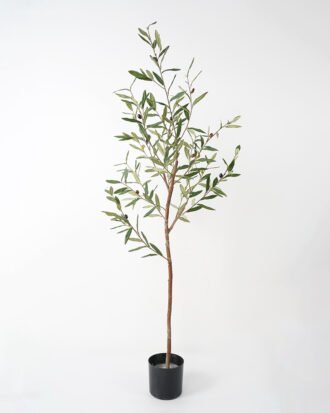 Artificial Tree 56*47*140CM Olive Tree Real tree trunks GS-63321034 Tree&Plant YeahFlower is one of Chinese leading OEM manufacturers and exporters , supplying the silk flowers, wholesale artificial trees Artificial Tree 56*47*140CM Olive Tree Real tree trunks GS-63321034 Tree&Plant YeahFlower is one of Chinese leading OEM manufacturers and exporters , supplying the silk flowers, wholesale artificial trees