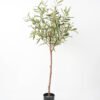 Artificial Tree 70*70*120CM Olive Tree Real tree trunks GS-63321035 Tree&Plant YeahFlower is one of Chinese leading OEM manufacturers and exporters , supplying the silk flowers, wholesale artificial trees