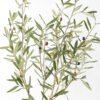 Artificial Tree 80*75*120CM Olive Tree fake trees GS-63321031 Tree&Plant YeahFlower is one of Chinese leading OEM manufacturers and exporters , supplying the silk flowers, wholesale artificial trees