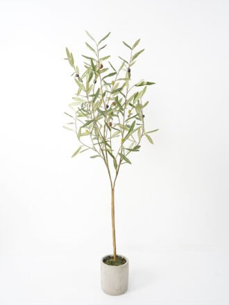 Artificial Tree 50*40*90cm Olive in pp pot fake trees GS-63321019 Tree&Plant 3,000+ sqm showroom with thousands of artificial flowers, plants & trees ready for global sourcing.