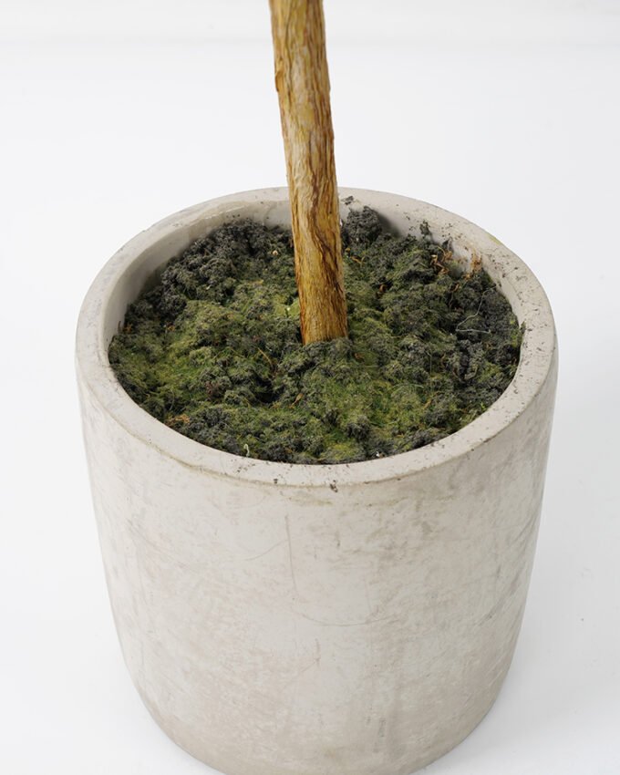 Artificial Tree Olive in cement pot Faux trees GS-63321020_6 Artificial Tree 55*50*120cm Olive in cement pot Faux trees GS-63321020 Tree&Plant YeahFlower is one of Chinese leading OEM manufacturers and exporters , supplying the silk flowers, wholesale artificial trees