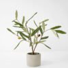 Artificial Tree Olive in cement pot Faux trees GS-63321022_3 Artificial Tree 35*30*40cm Olive in cement pot Faux trees GS-63321022 Tree&Plant YeahFlower is one of Chinese leading OEM manufacturers and exporters , supplying the silk flowers, wholesale artificial trees