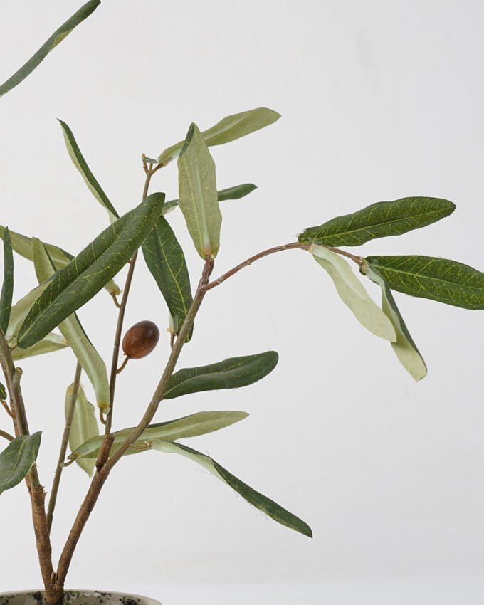 Artificial Tree Olive in cement pot Faux trees GS-63321022_4 Artificial Tree 35*30*40cm Olive in cement pot Faux trees GS-63321022 Tree&Plant YeahFlower is one of Chinese leading OEM manufacturers and exporters , supplying the silk flowers, wholesale artificial trees