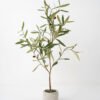 Artificial Tree 45*45*75cm Olive in cement pot Faux trees GS-63321024 Tree&Plant YeahFlower is one of Chinese leading OEM manufacturers and exporters , supplying the silk flowers, wholesale artificial trees