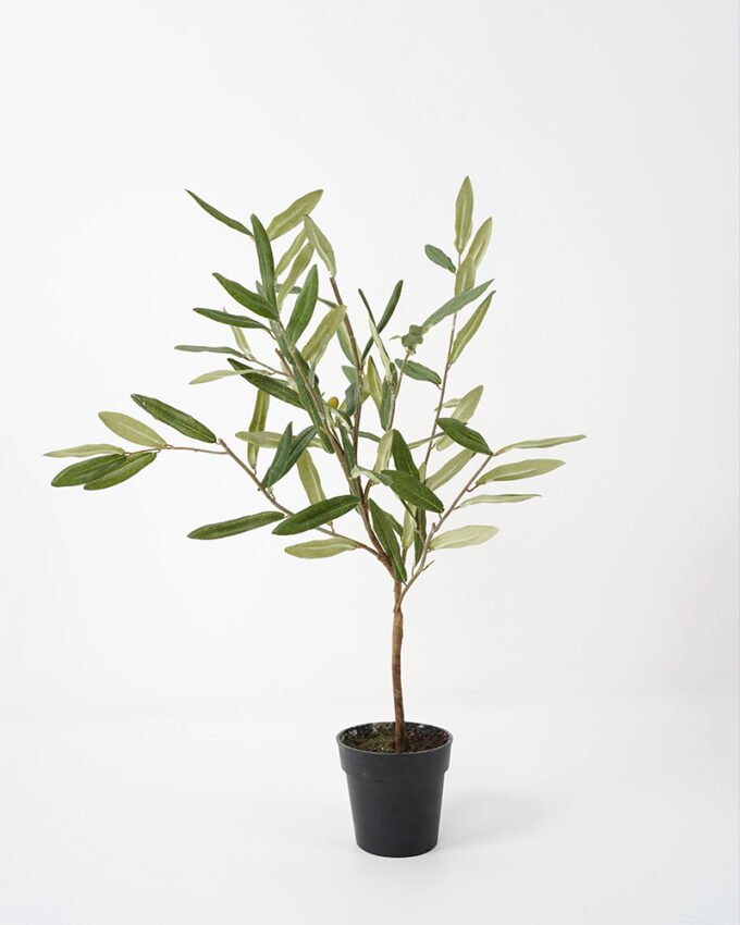 Artificial Tree 47*30*60cm Olive in cement pot fake trees GS-63321017 Tree&Plant YeahFlower is one of Chinese leading OEM manufacturers and exporters , supplying the silk flowers, wholesale artificial trees