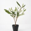 Artificial Tree Olive in cement pot fake trees GS-63321023_2 Artificial Tree 35*30*40cm Olive in cement pot fake trees GS-63321023 Tree&Plant YeahFlower is one of Chinese leading OEM manufacturers and exporters , supplying the silk flowers, wholesale artificial trees