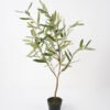 Artificial Tree 45*45*75cm Olive in cement pot fake trees GS-63321025 Tree&Plant YeahFlower is one of Chinese leading OEM manufacturers and exporters , supplying the silk flowers, wholesale artificial trees