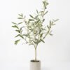 Artificial Tree 50*40*90cm Olive in pp pot Faux trees GS-63321018 Tree&Plant YeahFlower is one of Chinese leading OEM manufacturers and exporters , supplying the silk flowers, wholesale artificial trees