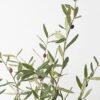 Artificial Tree 50*40*90cm Olive in pp pot Faux trees GS-63321018 Tree&Plant YeahFlower is one of Chinese leading OEM manufacturers and exporters , supplying the silk flowers, wholesale artificial trees