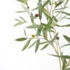 Artificial Tree 80*75*150cm Olive in pp pot Faux trees GS-63321026 Tree&Plant YeahFlower is one of Chinese leading OEM manufacturers and exporters , supplying the silk flowers, wholesale artificial trees
