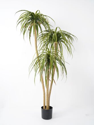 Artificial Tree 75*60*130CM POTTED DRACAENA fake trees GS-63321040 Tree&Plant 3,000+ sqm showroom with thousands of artificial flowers, plants & trees ready for global sourcing.