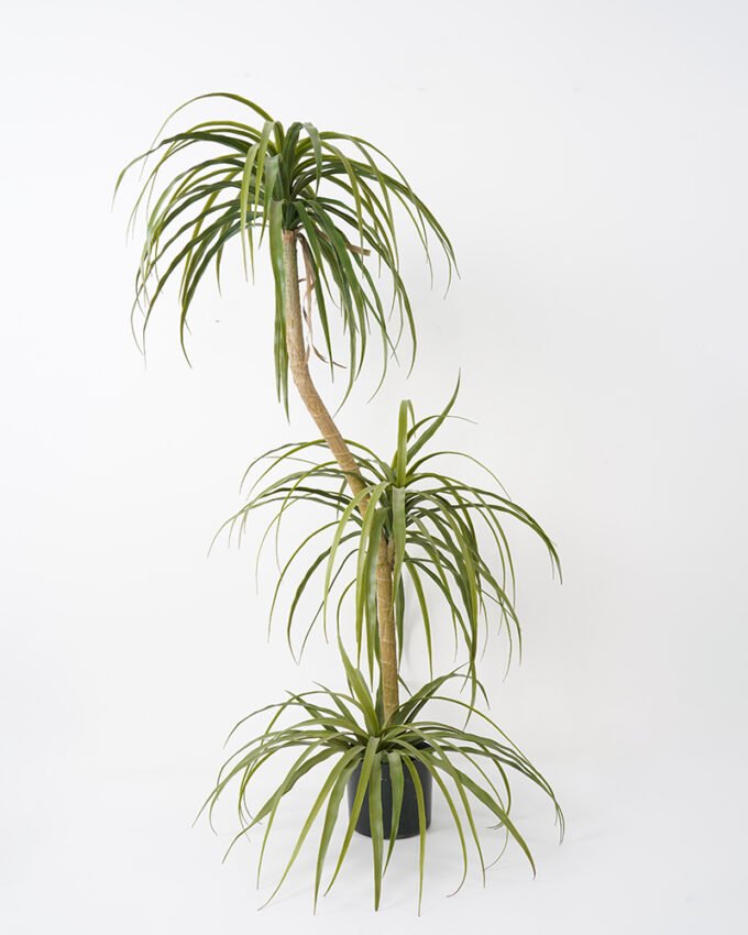 Artificial Tree 75*60*130CM POTTED DRACAENA fake trees GS-63321040 Tree&Plant YeahFlower is one of Chinese leading OEM manufacturers and exporters , supplying the silk flowers, wholesale artificial trees