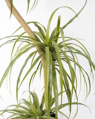 Artificial Tree 75*60*130CM POTTED DRACAENA fake trees GS-63321040 Tree&Plant YeahFlower is one of Chinese leading OEM manufacturers and exporters , supplying the silk flowers, wholesale artificial trees