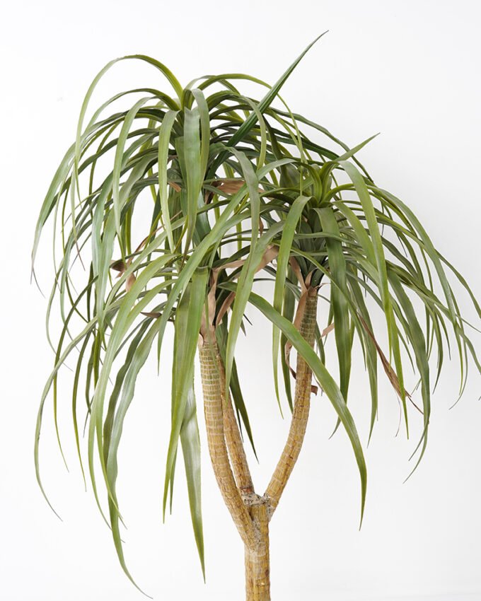 Artificial Tree 80*80*110CM POTTED DRACAENA fake trees GS-63321042 Tree&Plant YeahFlower is one of Chinese leading OEM manufacturers and exporters , supplying the silk flowers, wholesale artificial trees