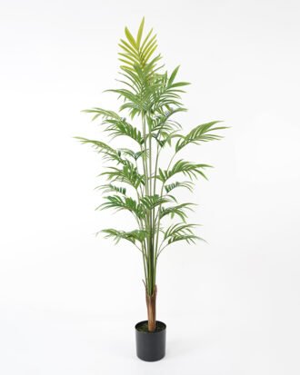 Artificial Tree 60*65*160cm Palm tree fake trees GS-63321015 Tree&Plant YeahFlower is one of Chinese leading OEM manufacturers and exporters , supplying the silk flowers, wholesale artificial trees