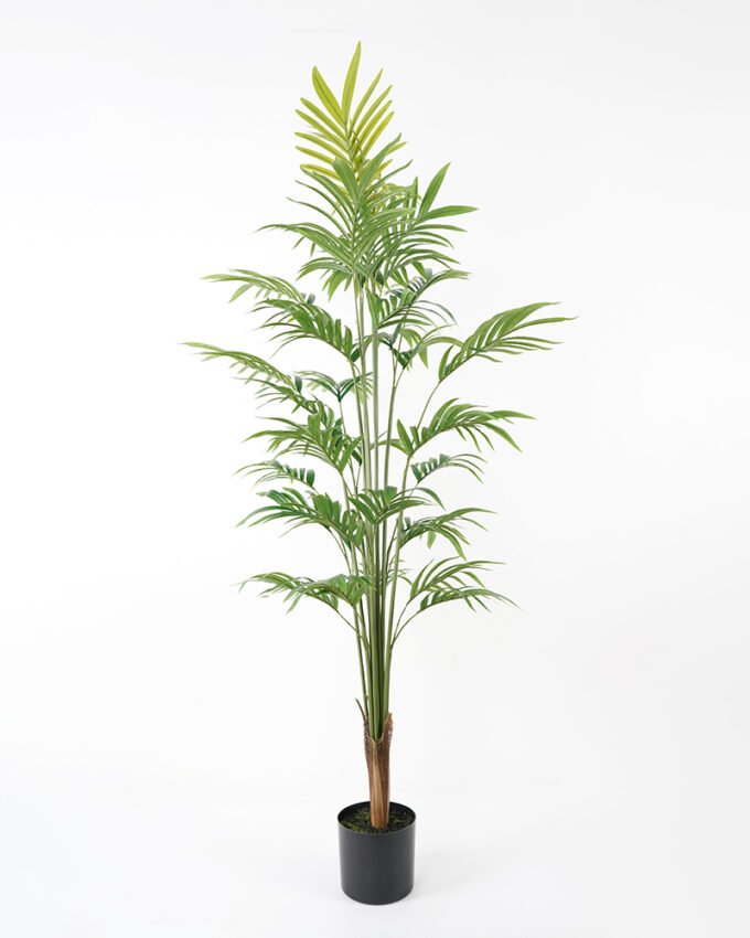 Artificial Tree 60*65*160cm Palm tree fake trees GS-63321015 Tree&Plant YeahFlower is one of Chinese leading OEM manufacturers and exporters , supplying the silk flowers, wholesale artificial trees