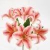 Artificial Flower 30*45 CM Lily bush *6 GS-05521044 Bouquet YeahFlower is one of Chinese leading OEM manufacturers and exporters , supplying the silk flowers, wholesale artificial trees