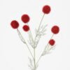 Artificial Flower 12*58cm Danish Crystal Ball spray*6 GS-26221059 Single Flowers YeahFlower is one of Chinese leading OEM manufacturers and exporters , supplying the silk flowers, wholesale artificial trees