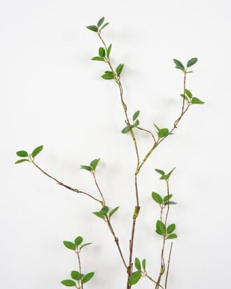 Artificial Flower 42*92cm Elm leaves Garland GS-26221062 Single Flowers YeahFlower is one of Chinese leading OEM manufacturers and exporters , supplying the silk flowers, wholesale artificial trees Artificial Flower 42*92cm Elm leaves Garland GS-26221062 Single Flowers YeahFlower is one of Chinese leading OEM manufacturers and exporters , supplying the silk flowers, wholesale artificial trees