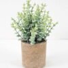 Artificial Flower 12*20CM GRASS IN PAPER POT GS-05521125 Potted Flowers&Plants YeahFlower is one of Chinese leading OEM manufacturers and exporters , supplying the silk flowers, wholesale artificial trees