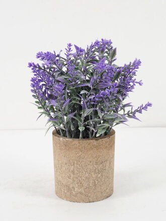 Artificial Plant 12*19CM GRASS IN PAPER POT GS-05521138 Potted Flowers&Plants 3,000+ sqm showroom with thousands of artificial flowers, plants & trees ready for global sourcing.