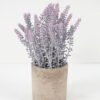 Artificial Flower GRASS IN PAPER POT GS-05521149 Artificial Flower 11*22CM GRASS IN PAPER POT GS-05521149 Potted Flowers&Plants YeahFlower is one of Chinese leading OEM manufacturers and exporters , supplying the silk flowers, wholesale artificial trees