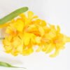 Artificial Flower 11*50cm Hyacinth Single stem GS-29921034-Y1 Single Flowers YeahFlower is one of Chinese leading OEM manufacturers and exporters , supplying the silk flowers, wholesale artificial trees