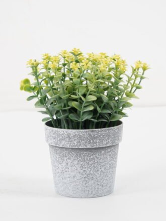 Artificial Flower 15*17CM grass in PE pot GS-05521064 Potted Flowers&Plants 3,000+ sqm showroom with thousands of artificial flowers, plants & trees ready for global sourcing.