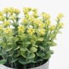 Artificial Flower Mini flower in PE pot GS-05521063-Y1_4 Artificial Flower 12*15CM Mini flower in PE pot GS-05521063-Y1 Potted Flowers&Plants YeahFlower is one of Chinese leading OEM manufacturers and exporters , supplying the silk flowers, wholesale artificial trees