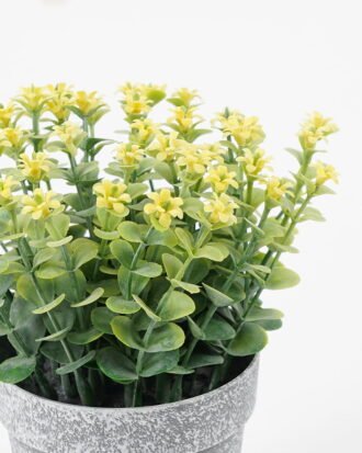Artificial Flower 12*15CM Mini flower in PE pot GS-05521063-Y1 Potted Flowers&Plants YeahFlower is one of Chinese leading OEM manufacturers and exporters , supplying the silk flowers, wholesale artificial trees