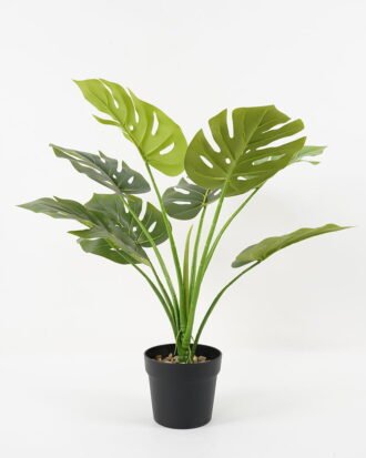 Artificial Flower 63*62cm Monstera  leaf in pp pot GS-06021026 Potted Flowers&Plants YeahFlower is one of Chinese leading OEM manufacturers and exporters , supplying the silk flowers, wholesale artificial trees