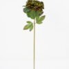 Artificial Flower 24*74cm Peony single stem GS-26221066 Single Flowers YeahFlower is one of Chinese leading OEM manufacturers and exporters , supplying the silk flowers, wholesale artificial trees