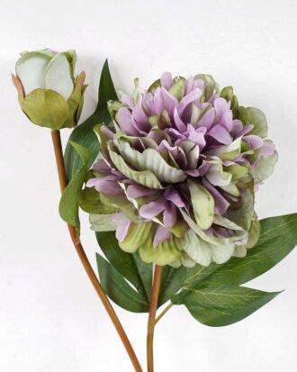 Artificial Flower 25*15*60CM Peony spray*2 GS-62421009 Single Flowers YeahFlower is one of Chinese leading OEM manufacturers and exporters , supplying the silk flowers, wholesale artificial trees Artificial Flower 25*15*60CM Peony spray*2 GS-62421009 Single Flowers YeahFlower is one of Chinese leading OEM manufacturers and exporters , supplying the silk flowers, wholesale artificial trees