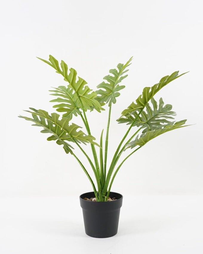 Artificial Flower Pholodendron in pp pot GS-06021025_2 Artificial Flower 60*60cm Pholodendron in pp pot GS-06021025 Potted Flowers&Plants YeahFlower is one of Chinese leading OEM manufacturers and exporters , supplying the silk flowers, wholesale artificial trees