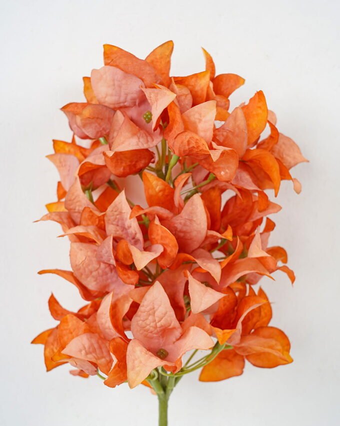 Artificial Flower 16*56cm Rhododendron spray*19 GS-26221050 Single Flowers YeahFlower is one of Chinese leading OEM manufacturers and exporters , supplying the silk flowers, wholesale artificial trees