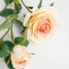 Artificial Flower 18*13*68CM Rose spray*4 GS-64421004 Single Flowers YeahFlower is one of Chinese leading OEM manufacturers and exporters , supplying the silk flowers, wholesale artificial trees