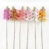 Artificial Flower 18*92CM Singel Orchid*7 GS-64921005 Single Flowers YeahFlower is one of Chinese leading OEM manufacturers and exporters , supplying the silk flowers, wholesale artificial trees