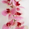 Artificial Flower 15*9*95CM  Singel Orchid*9 GS-64421010 Single Flowers YeahFlower is one of Chinese leading OEM manufacturers and exporters , supplying the silk flowers, wholesale artificial trees
