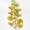 Artificial Flower 18*94CM Singel Orchid*9 GS-64921006 Single Flowers YeahFlower is one of Chinese leading OEM manufacturers and exporters , supplying the silk flowers, wholesale artificial trees