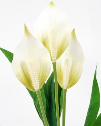 Artificial Flower 40*40*48CM Spathiphyllum GS-52321010-W1 Flowers Bush YeahFlower is one of Chinese leading OEM manufacturers and exporters , supplying the silk flowers, wholesale artificial trees