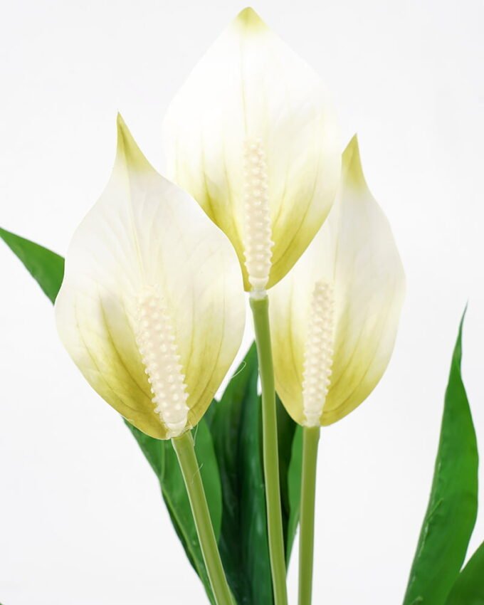 Artificial Flower 40*40*48CM Spathiphyllum GS-52321010-W1 Flowers Bush YeahFlower is one of Chinese leading OEM manufacturers and exporters , supplying the silk flowers, wholesale artificial trees