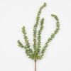 Artificial Flower 10*68CM Succulent hanging*5 GS-05521038 Single Flowers YeahFlower is one of Chinese leading OEM manufacturers and exporters , supplying the silk flowers, wholesale artificial trees