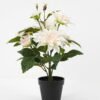 Artificial Flower 35*43cm dahlia in pp pot GS-06021022 Potted Flowers&Plants YeahFlower is one of Chinese leading OEM manufacturers and exporters , supplying the silk flowers, wholesale artificial trees