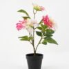 Artificial Flower 36*29*46cm dahlia in pp pot GS-06021023 Potted Flowers&Plants YeahFlower is one of Chinese leading OEM manufacturers and exporters , supplying the silk flowers, wholesale artificial trees