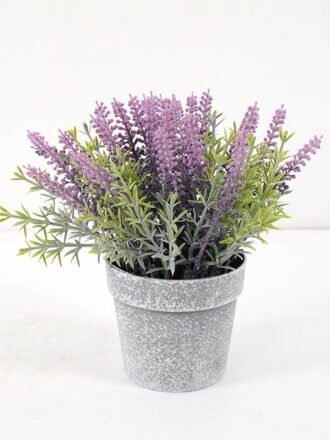 Artificial Plant 8*17CM GRASS IN PE POT GS-05521067 Potted Flowers&Plants 3,000+ sqm showroom with thousands of artificial flowers, plants & trees ready for global sourcing.