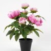 Artificial Flower 36*41cm peony in pp pot GS-06021017 Potted Flowers&Plants YeahFlower is one of Chinese leading OEM manufacturers and exporters , supplying the silk flowers, wholesale artificial trees