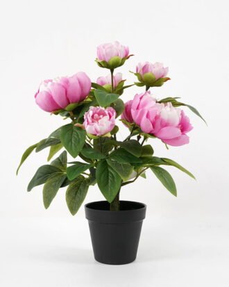 Artificial Flower 36*41cm peony in pp pot GS-06021017 Potted Flowers&Plants YeahFlower is one of Chinese leading OEM manufacturers and exporters , supplying the silk flowers, wholesale artificial trees